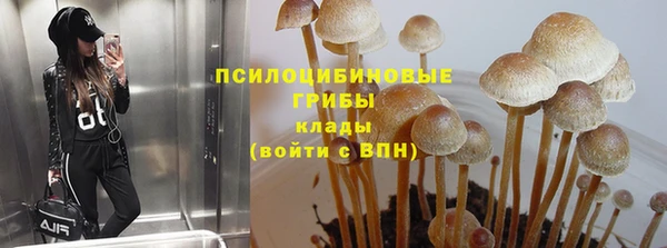 герыч Алзамай