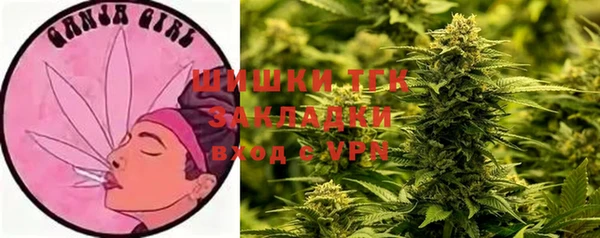 тгк Алексин