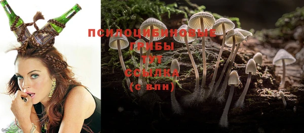 герыч Алзамай
